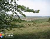 Comuna Comăna - Județul Brașov